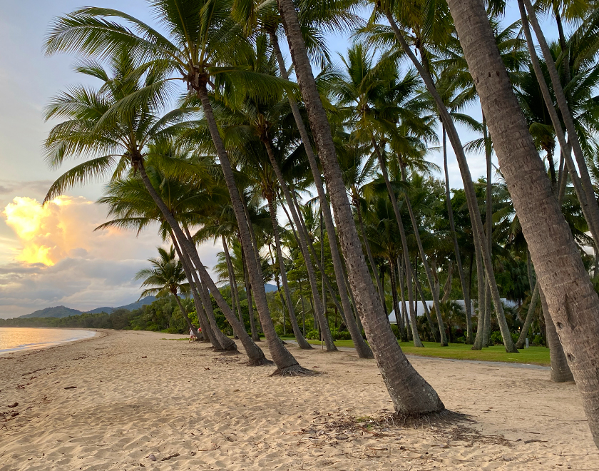 Palm Cove